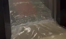 Nghệ An ngập nặng sau mưa lớn, nước tràn vào cả thang máy chung cư