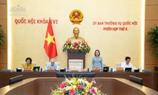 Dự thảo Luật mới: Mở rộng nguồn hiến mô, tạng, tăng bảo vệ người hiến