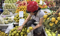 Hồng da tre có gì đặc biệt mà giá gần 200.000 đồng/kg vẫn được chị em thi nhau ‘săn đón’?