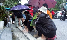 Người Hải Phòng xếp hàng chờ mua bánh Trung thu