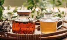 Uống trà thế nào để tận dụng lợi ích cho sức khỏe và tuổi thọ?