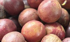 Tiểu thương bật mí cách chọn những trái chanh leo thơm ngon, mọng nước