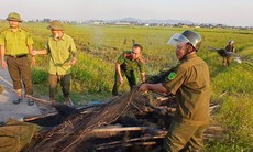 Phát hiện 'trận địa' bẫy chim giữa cánh đồng, thu 5.000m lưới
