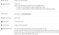 Công ty Cổ phần Việt Vương vi phạm chứng khoán