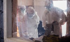 WHO cảnh báo thiếu 5.000 nhân viên y tế để ứng phó với dịch Ebola tại CHDC Congo