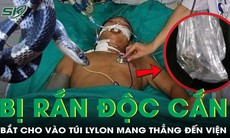 Bị rắn cạp nia cắn, người đàn ông bắt cho vào túi nylon mang thẳng đến viện