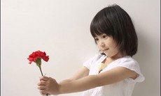 Văn hóa biết ơn