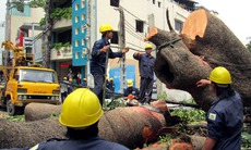 Truy đóng hơn 5 tỷ đồng bảo hiểm vụ giám đốc lương tiền tỷ