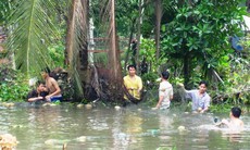 Người Sài Gòn bắt rắn, cá to giữa đỉnh triều cường