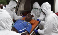 Thử nghiệm thành công thuốc điều trị Ebola trên khỉ đuôi ngắn