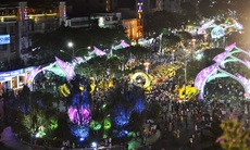 Hơn 1 triệu lượt người tham quan đường hoa Nguyễn Huệ 2014