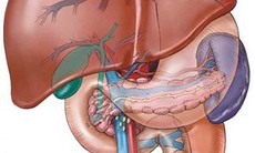 Tìm thấy dạng HCV phổ biến gây viêm gan