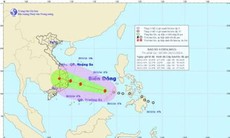 Áp thấp nhiệt đới mạnh lên thành bão số 4