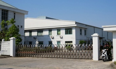 Công ty in băng đĩa đồi trụy quy mô lớn bị phát hiện