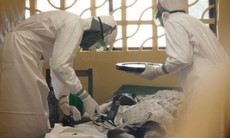 Bệnh Ebola và sốt xuất huyết khác gì nhau?