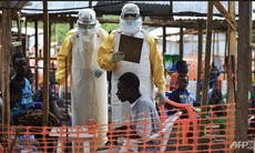 Hơn 80 người chết do Ebola chỉ trong 3 ngày