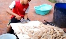 Rùng mình làng mỡ bẩn