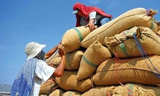 'Tổng giám đốc trăng hoa' trở thành chủ tịch Hiệp hội Lương thực Việt Nam?