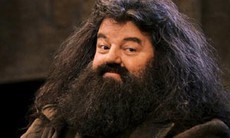 15 sự thật khó tin về Harry Potter