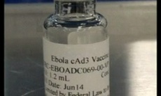 "Thần dược" trị Ebola chứng minh hiệu quả ở loài khỉ