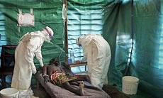 Ebola và bài học từ châu Phi