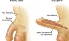 Bệnh gì ảnh hưởng tới rối loạn cương dương?