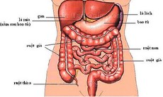 Xét nghiệm mới chẩn đoán viêm đường tiết niệu