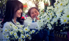 Rực sỡ sắc hoa tháng 8 trên đường Hà Nội