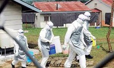 Ngành y tế khuyến cáo mạnh mẽ phòng chống dịch bệnh Ebola