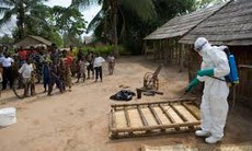 WHO:Chủng Ebola ở Congo khác với virút gây dịch Ebola ở Tây Phi