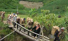 Giải quyết việc làm, xóa đói nghèo để hạn chế di dân tự phát