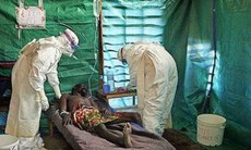 WHO tuyên bố tình trạng khẩn cấp đối với dịch  Ebola