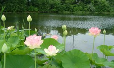 Điểm yên tĩnh