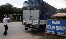 “Kích hoạt “ toàn bộ hệ thống y tế trên toàn quốc để giám sát dịch