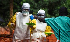 1,3 triệu người thiếu lương thực vì dịch ebola