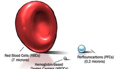 Máu nhân tạo: Nguồn cung máu vô tận tương lai?