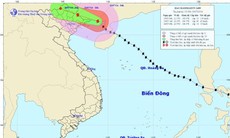 Tin bão số 2 mới nhất: Ảnh hưởng trực tiếp Quảng Ninh