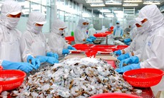 Cơ sở sản xuất thực phẩm có nghĩa vụ gì ?