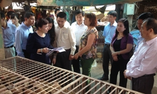 Tăng cường giám sát người nhập cảnh từ vùng có dịch bệnh
