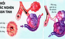 FDA cho phép dùng Umeclidinium điều trị bệnh phổi tắc nghẽn mạn tính