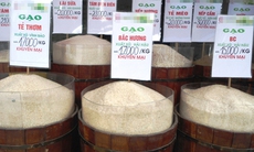 Kinh hãi gạo thơm nhưng cơm… độc!