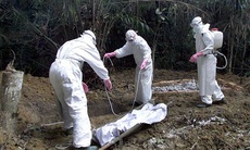 WHO hạn chế quyền di chuyển đối với người nhiễm Ebola