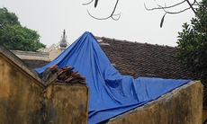 Sư trụ trì bán lại gỗ sưa vì bị đe dọa