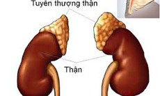 Tôi có thể gây teo tuyến thượng thận