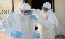 Ebola “ẩn nấp” trong động vật hoang dã?