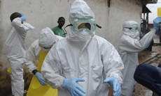 WHO: 170 nhân viên y tế bị nhiễm ebola, 81 người tử vong