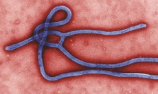 Ebola không lây qua đường không khí, nước