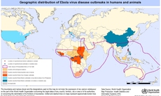 WHO: Số người chết vì virut Ebola đã vượt 1.000 người