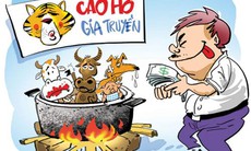 Cao hổ có phải thần dược chữa đau xương khớp?