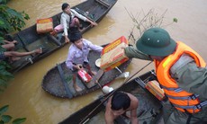 Cái gì giết chết cảm xúc?